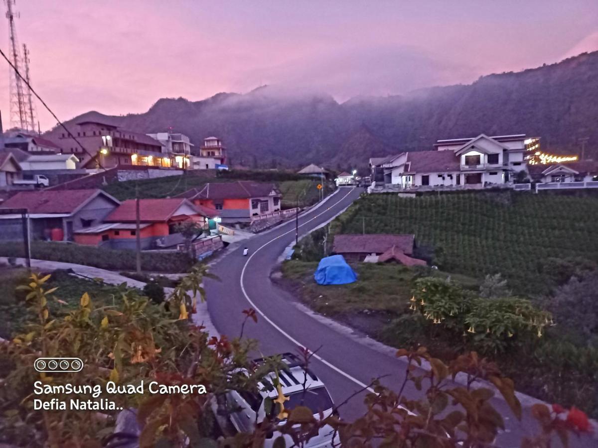 Bromo Deddy Homestay Esterno foto