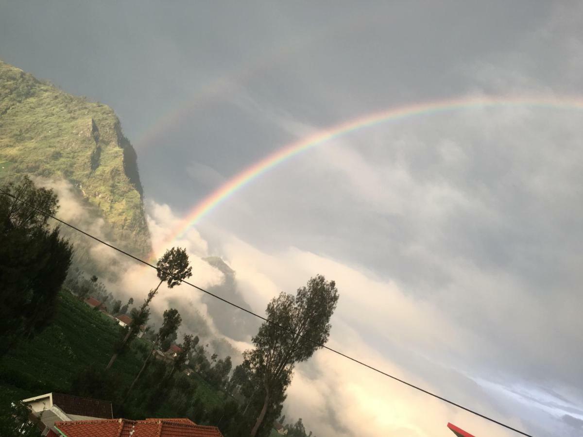 Bromo Deddy Homestay Esterno foto
